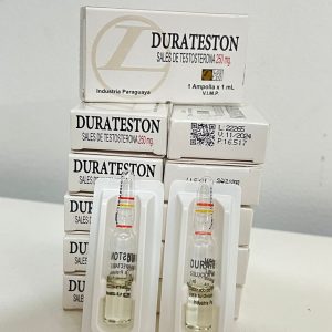 Duratestoland 250mg/1ml - Landerlan - 4 Unidades