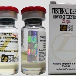 Testenat (Enantato de Testosterona) 250mg/4ml - Landerlan